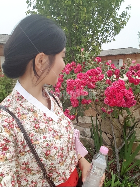 장미,올림머리,rose,hanbok,koreantraditionalclothes,한복,생활한복,flower,person,사람