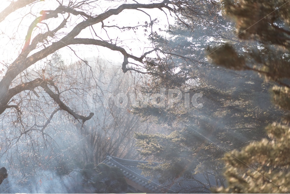 풍경사진,빛,분위기,감성,감성사진,풍경,자연,풍경,nature,landscape,한국자연풍경,한국자연경관,korea nature landscape,outdoors,옥외