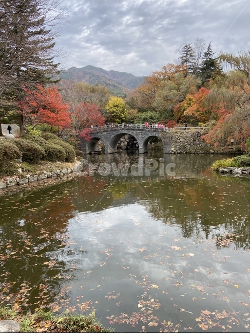 불국사,레트로,경치,가을,nature,자연,outdoors,나무