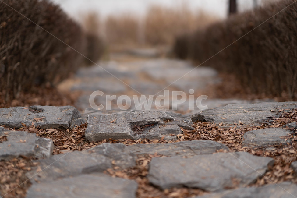 보도,walkway,통로,돌계단,path
