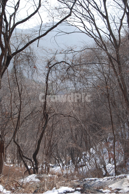 wind noise,Janggunbawi Rock,beauty,ecosystem,Park Si Sam,hiking trails,scenery,mountaineering,healing,mountain,ridges,land,the greatness of nature,Korea,Trees,sky,seasons,nature,Korean mountaineering,hiking,environment,emotion,famous Korean mountains,snow