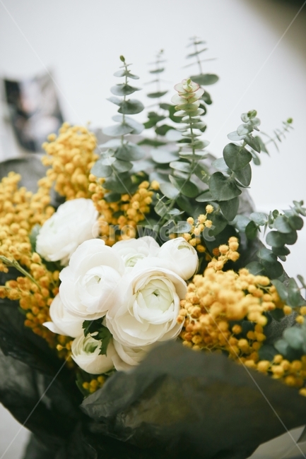 꽃다발,예쁜꽃,라넌큘러스,미모사,유칼립투스,플라워,flower,식물,자연,plants,nature,꽃,flower,기념일,축하,anniversary,congratulation,celebrate,celebration,감성,sensible,feeling