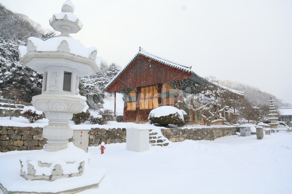고창,선운사,선운사설경,설경,겨울,겨울,계절,winter,season,한국전통,한국문화,korean traditional,korean culture,종교,신앙,religion,belief,faith,건축물,건물외관,exterior,building,structure,architecture,construction