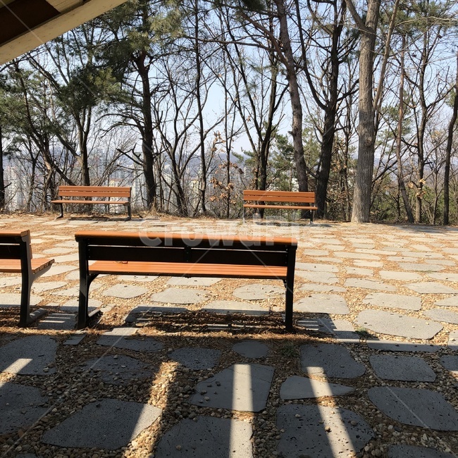 벤치,공원,자연,bench,park,nature,나무