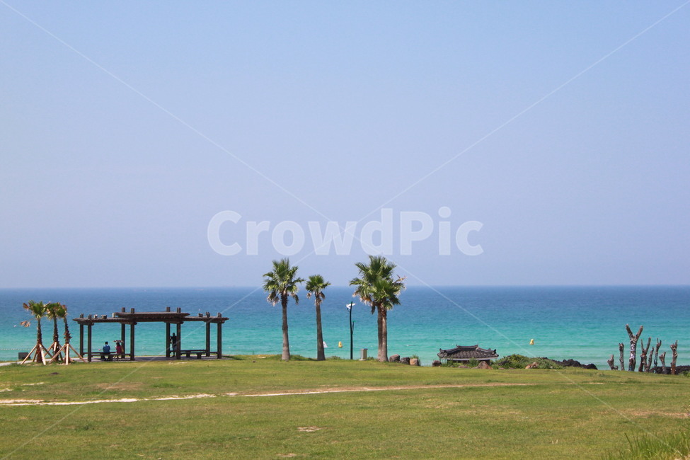 제주도,여름,바다,해변,해수욕장,제주바다,서우봉해변