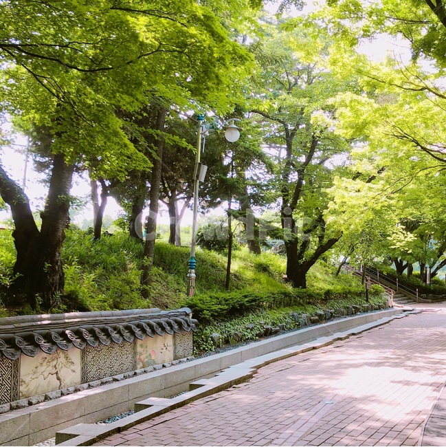 산,나무,초록색,여름,하늘,풍경,자연,산책