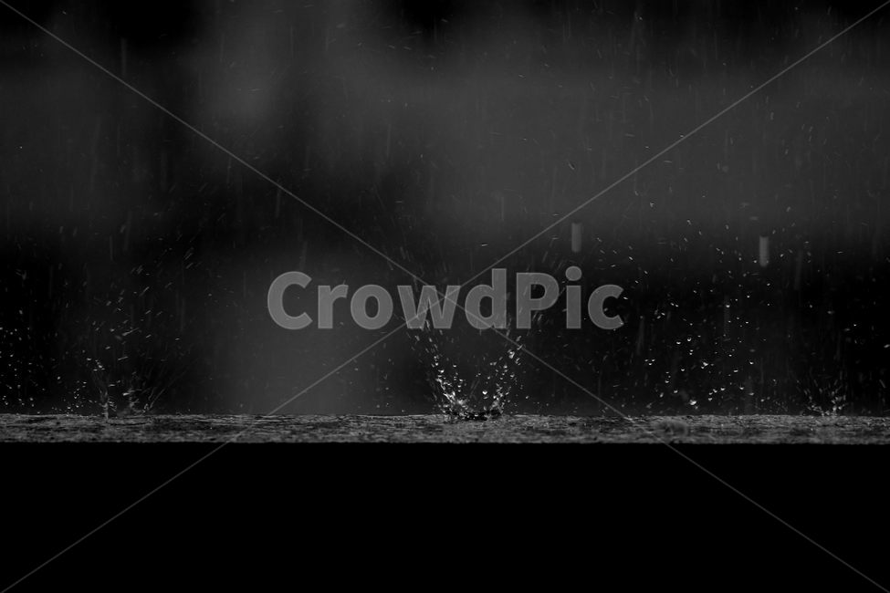비,빗방울,장마,낙수,순간포착,왕관현상,물머금,비,비오는날,rain,rainy,흑백,모노톤,monochrome,black and white