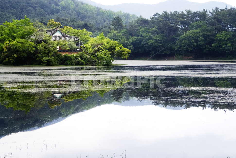 위양지,정자,호수,반영,풍경,자연,산,하늘,기와,기와건물,섬,landscape,natural,평온,자연,풍경,nature,landscape,한국자연풍경,한국자연경관,korea nature landscape,water,물,outdoors,옥외,land,땅
