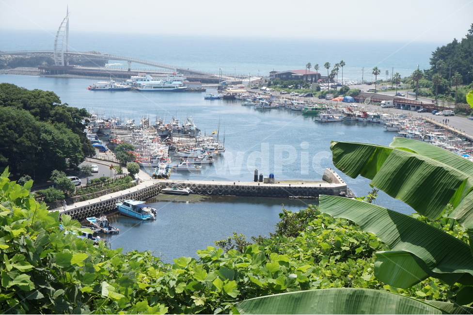 제주도,풍경,바다,자연,선착장,산업,industry,industrial,어업,fishery,fishing industry