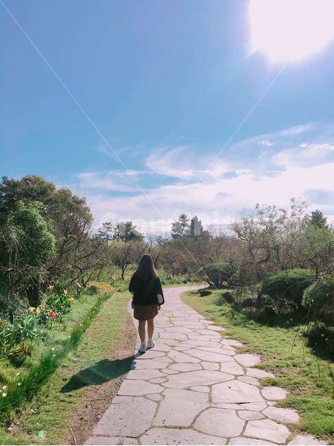 제주도,여자,뒷모습,낮,햇빛