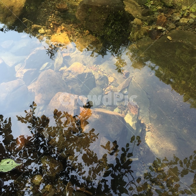 냇물,계곡,물,흐르는물,개울,자연,풍경,nature,landscape,outdoors,옥외,land,땅,water,art,미술,painting,그림