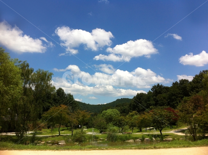 자연,풍경,푸른하늘,하늘,청명한,숲,잔디,공원,나무,자연,풍경,nature,landscape,outdoors,옥외,weather,날씨,cloud,구름,cumulus,적운,sky