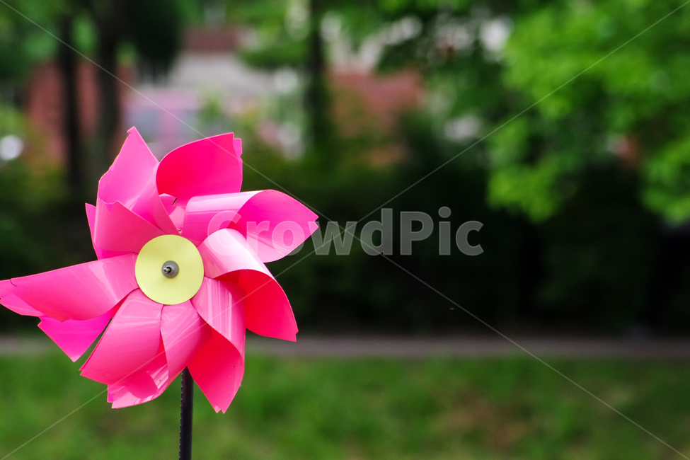 바람개비,길거리,감성,여름,바람,pinwheel