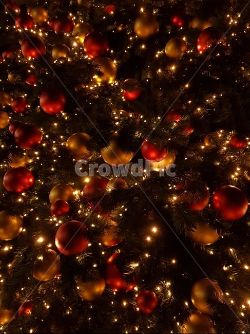 christmastree,크리스마스트리,장식,tree,나무,식물,조명,christmas,winter,겨울