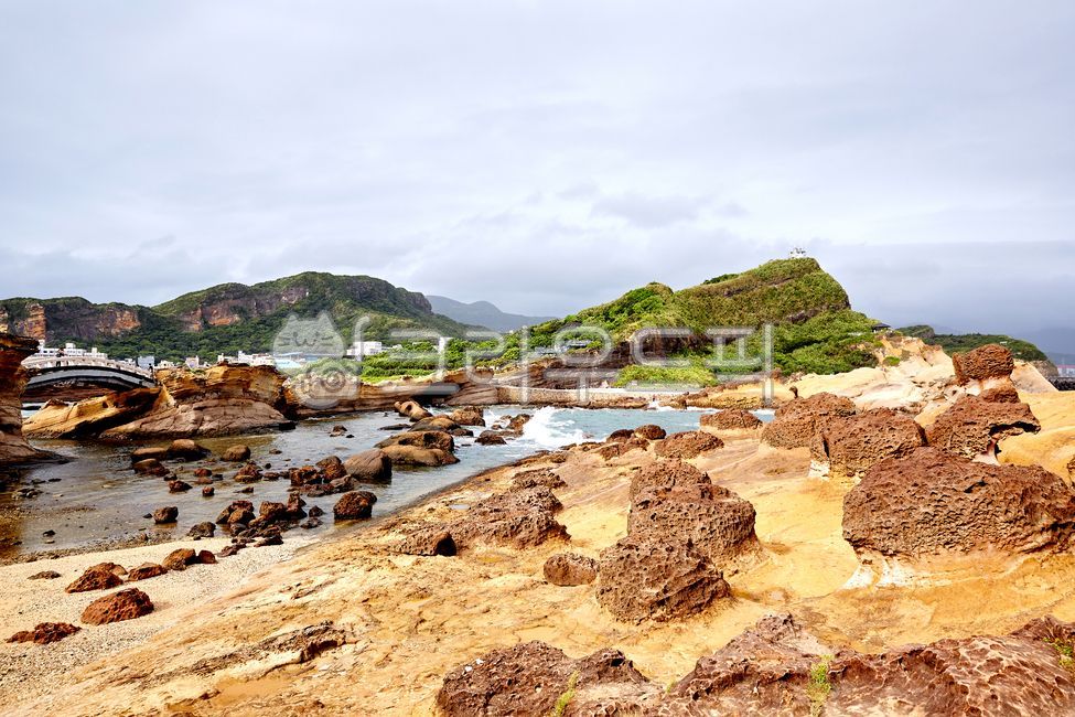 예류,예류지질공원,기암괴석,산호조각,대북,대만,바위,해외,공원,풍경,자연,바다,관광지,침식,풍화,풍화작용,타이베이,타이완,아시아