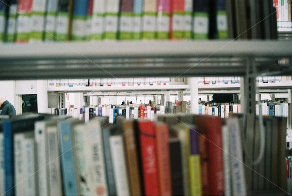 책,도서관,지식,서가,book,책사이,틈,교육,학교,공부,education,learning,study,school