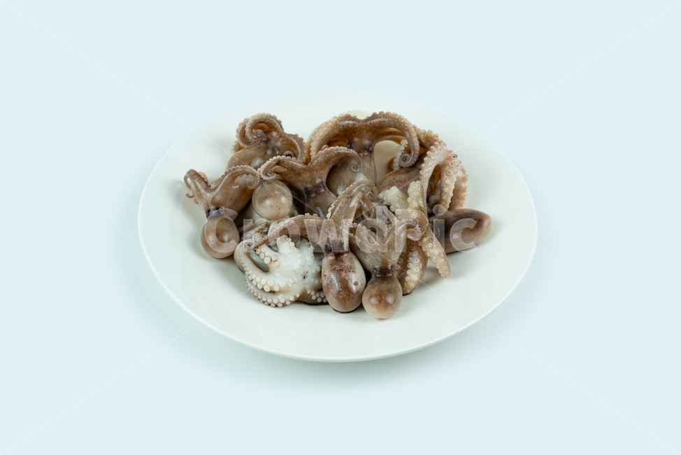 해산물,해물,낙지,주꾸미,요리재료,음식재료,어류,동물,해양생물,문어,싱싱한,신선한,요리,음식,식품,누끼