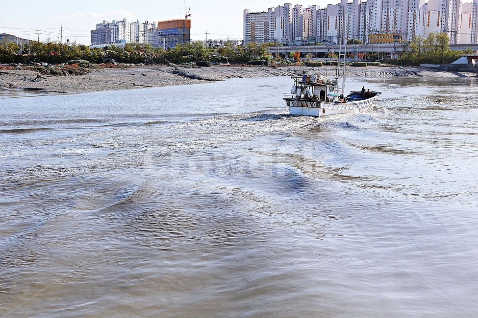배,어선,선박,바다,고기잡이,어업,난업,파도,물,물살,풍경,자연,어업,fishery,fishing industry