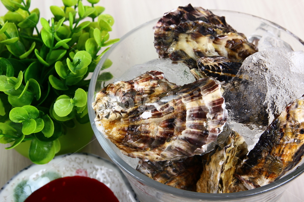석화,굴,생굴,해산물,조개,신선,싱싱,음식,식품,dish,oysters,seafood,shellfish,fresh,crispy,food,음식,식재료,요리,food,cook,meal,dishes,food reserves,수산물,해산물,fishery products,seafood