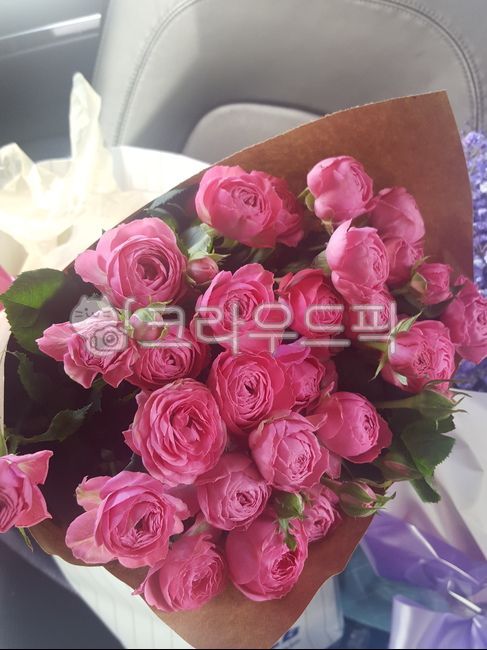 졸업,입학,꽃다발,꽃포장,장미