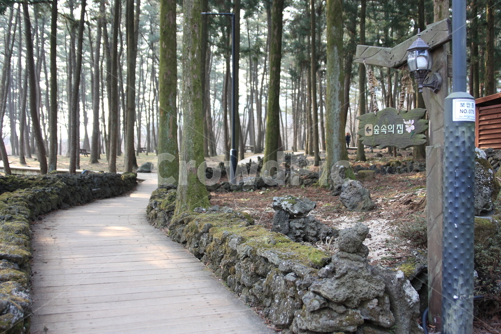 길,숲속,숲,힐링,나무,산책길,산책,공원,park,forest,tree,road,자연,풍경,nature,landscape,path,통로