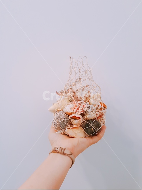 조개,손,바다,그물,소라,여름,summer,감성사진,사람,인물,인간,human,person,신체일부,몸,body,연출,컨셉,콘셉,direction,concept