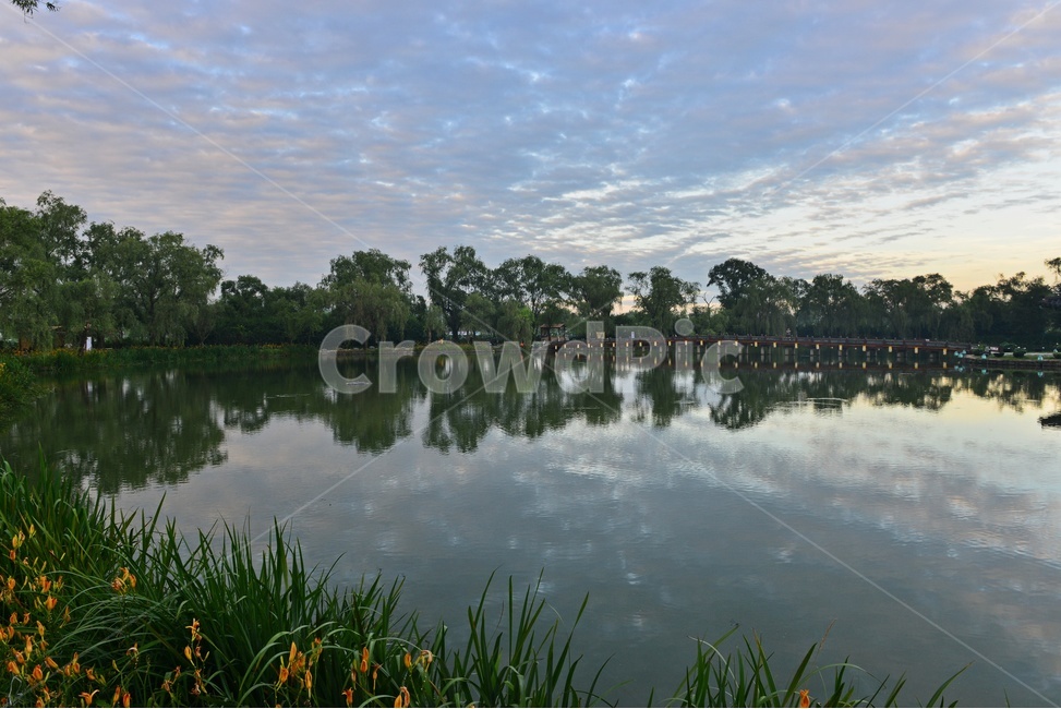 충남,부여,궁남지,반영,water,물,outdoors,옥외,nature,자연,하늘,구름