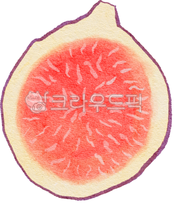 Fig cross section,FIG,hand drawing,fruit,Element,png,food,watercolor,painting,drawing,illustration,Watercolor,graphic,fig picture,cross section of fruit,design source