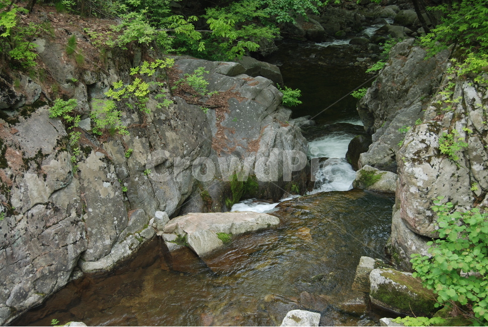 기백산,금원산,함양군,수목원,휴양림,자연,풍경,nature,landscape,한국자연풍경,한국자연경관,korea nature landscape,water,물,outdoors,옥외,stream,흐름,creek,작은 만