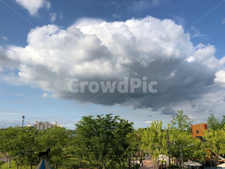 nature,자연,weather,날씨,outdoors,옥외,sky,하늘,cloud,구름,cumulus,적운,배경,풍경,나무,한국,korea