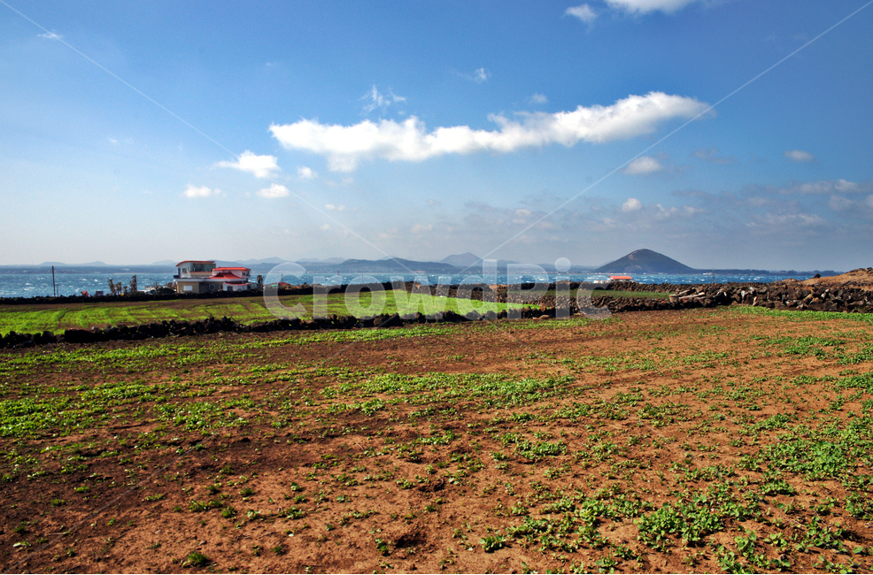 우도,제주,올레11코스,올레,자연,구름,밭,돌담,자연,풍경,nature,landscape,한국자연풍경,한국자연경관,korea nature landscape,제주도,jeju,jeju island,ground,바닥,outdoors,옥외,land,땅,soil,흙