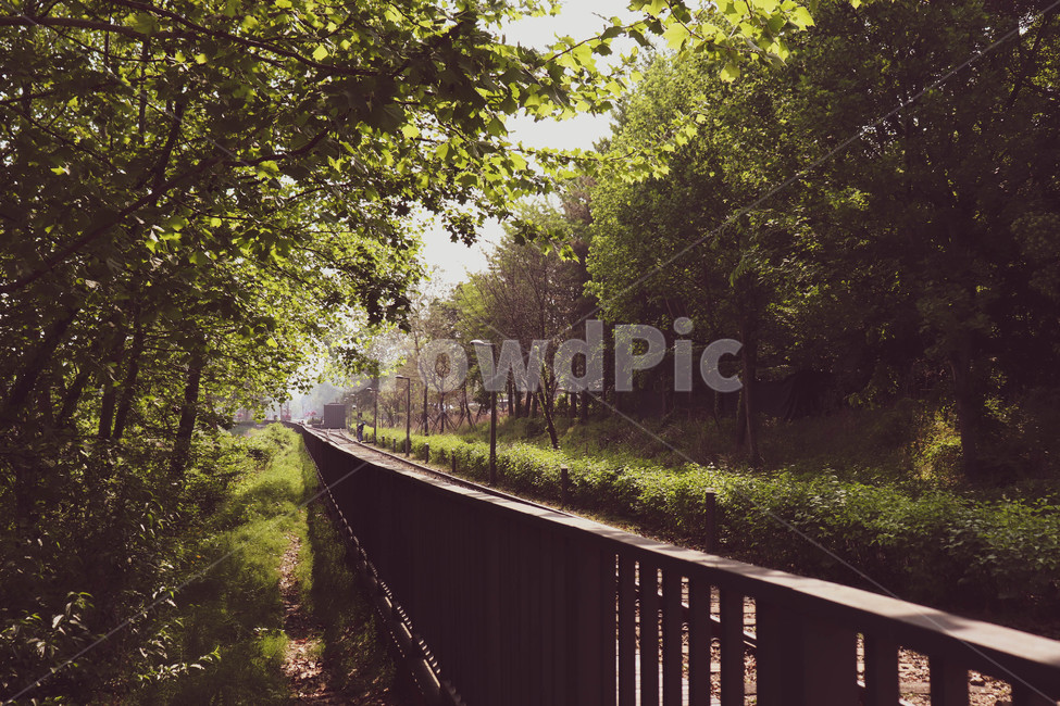 레일,철도,기찻길,숲,여름,transportation,traintrack,railway,자연,풍경,nature,landscape
