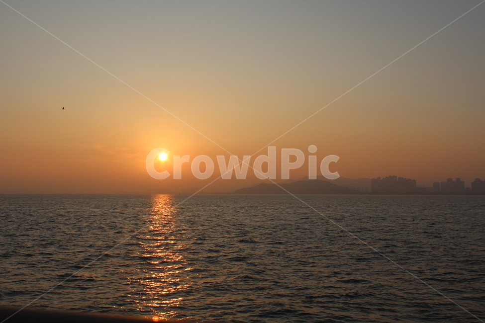 오후,바다,노을,자연,하늘,자연,풍경,nature,landscape,sunlight,햇빛,outdoors,옥외,sky,sunset,일몰,dusk,황혼,dawn,새벽,red sky,붉은 하늘