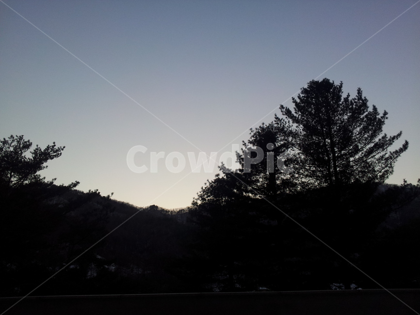 하늘,색감,저녁,나무,산,여명