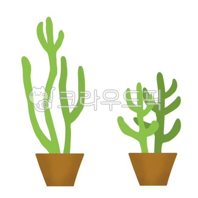 식물,식물일러스트,초록색,plant,plantillustration,green,선인장,선인장일러스트,연필선인장,가느다란,화분,cactus,cactusillustration,pencilcactus,slender,pottedplant,일러스트,굿노트스티커,illustration,goodnotesticker