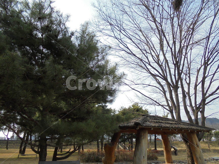 자연,자연물,하늘,구름,풀,땅,햇빛,흙,nature,tree,sky,sun,나뭇가지,공기,air,자연,풍경,nature,landscape,나무,plant,식물