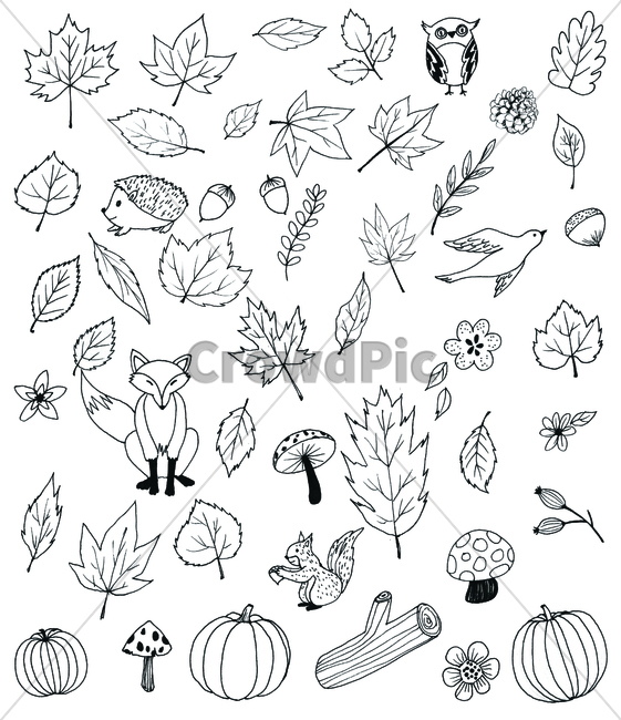 손그림,handdrawing,팬그림,팬라인,pen,penline,penpicture,pendrawing,꽃,flower,bloom,blossom,나뭇잎,leaf,foliage,umbrage,나뭇가지,bough,twig,다람쥐,squirrel,sprig,branch,art,낙엽,fallenleaves,호박,pumpkin,squash,부엉이,owl,deadleaves,새,bird,미술,도토리,acorn,drawing,그림,버섯,mushroom,여우,fox