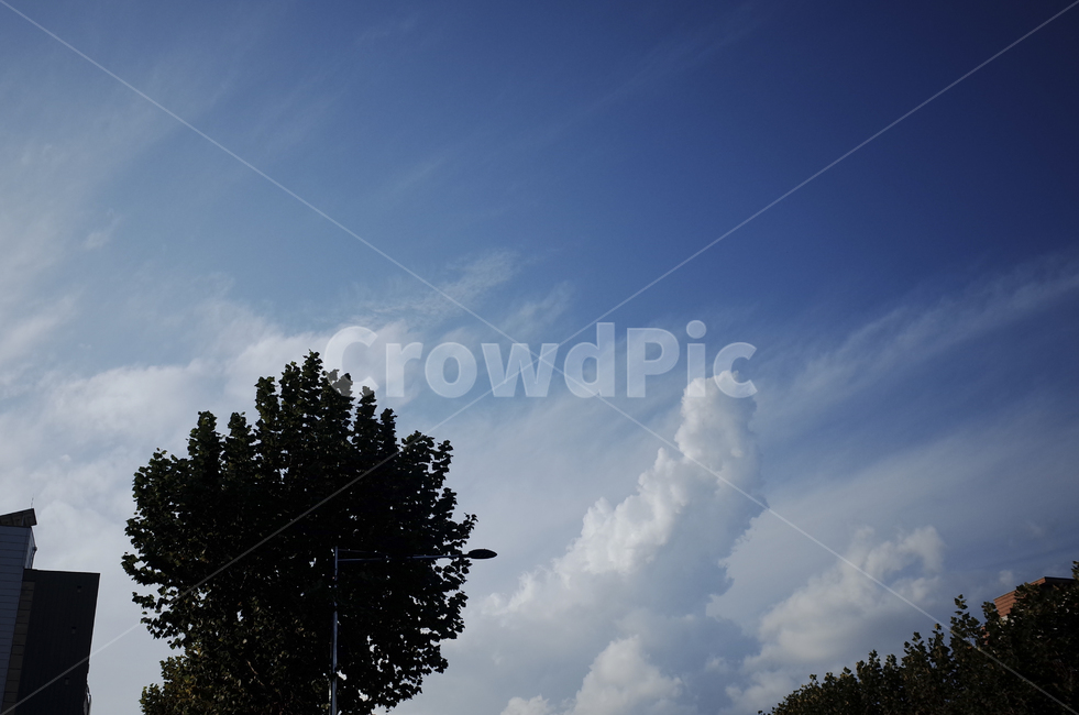 nature,자연,outdoors,weather,날씨,cumulus,적운,cloud,구름,sky,하늘,blue,파란,파랑,푸른,azuresky,bluesky,푸른하늘,파란하늘,silhouette,실루엣
