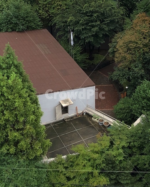 지붕,roof,nature,자연,건물