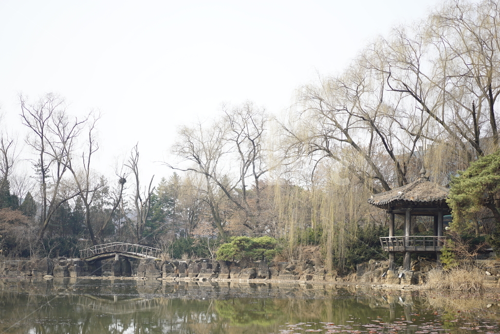 building,건물,outdoors,옥외,nature,나무,자연,반사