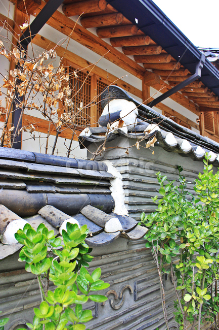 한옥,건물,건축물,기와,hanok,기둥,koreanstylehouse,한국전통,한국문화,korean traditional,korean culture,건축물,건물외관,exterior,building,structure,architecture,construction