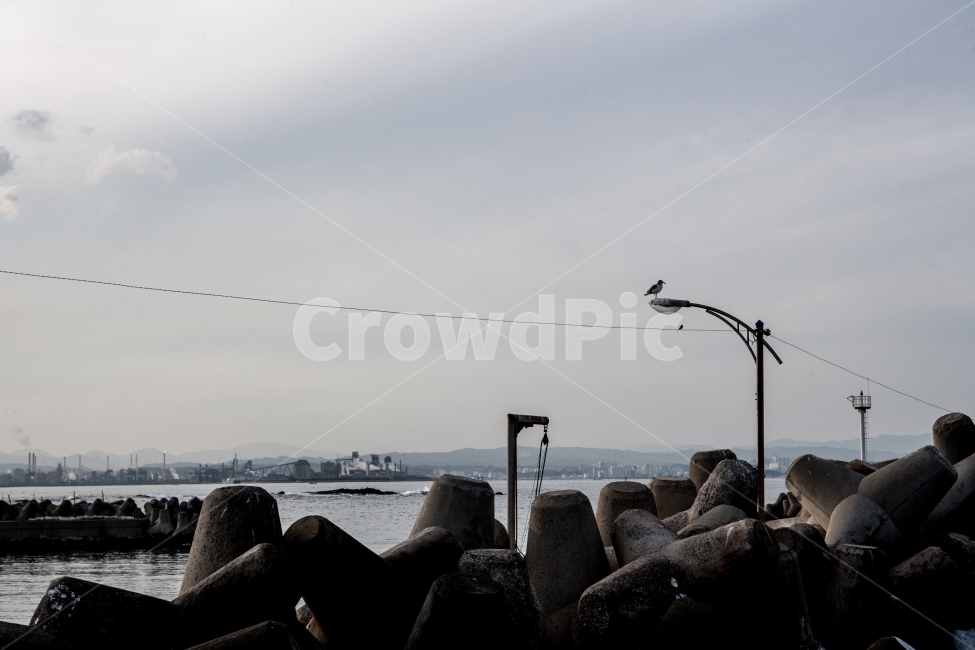 바다,갈매기,부둣가,방파제,바닷가,어촌,풍경,landscape,sea,도시,풍경,city,landscape,animal,동물,bird,새