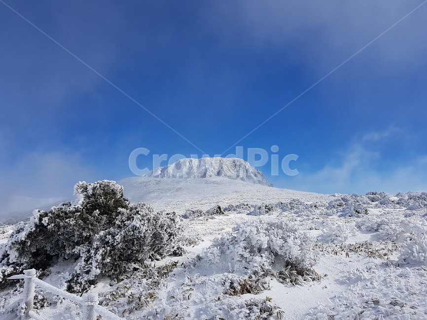 제주,겨울,한라산,눈꽃,눈,jeju,winter,hallamountain,snow,겨울,계절,winter,season,자연,풍경,nature,landscape,outdoors,옥외,mountain,산,mountain range,산맥