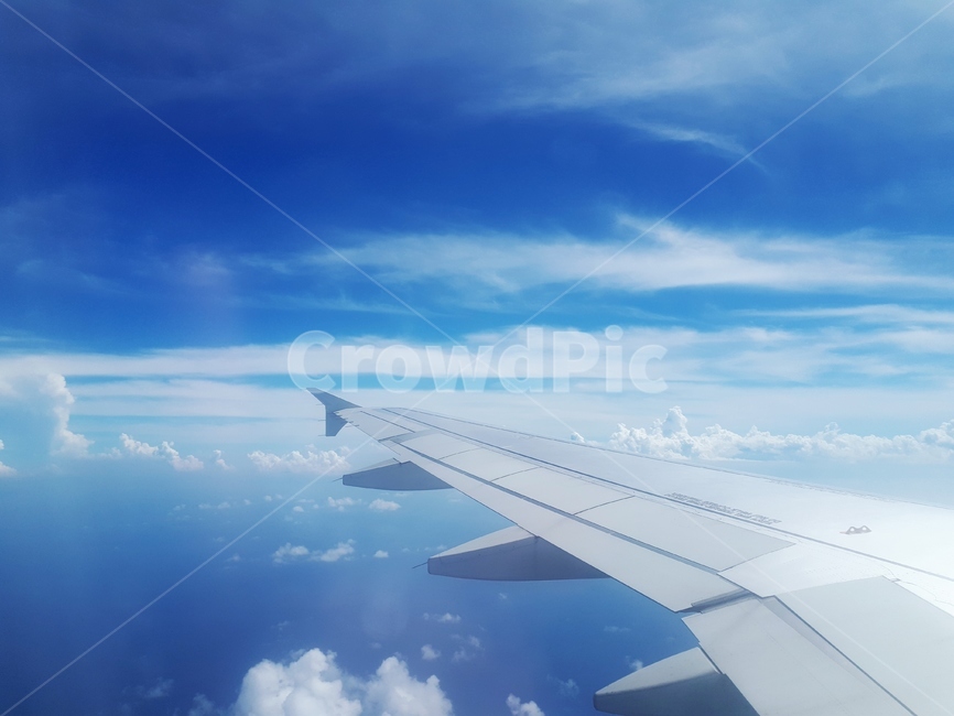 하늘,비행기,여행,구름,휴가,여름,외국,해외,travel,cloud,airplane,vacation,sky,summer,교통,교통수단,traffic,transportation