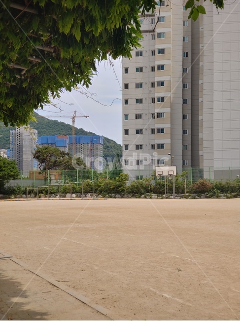 학교,운동장,학교운동장,교육,school
