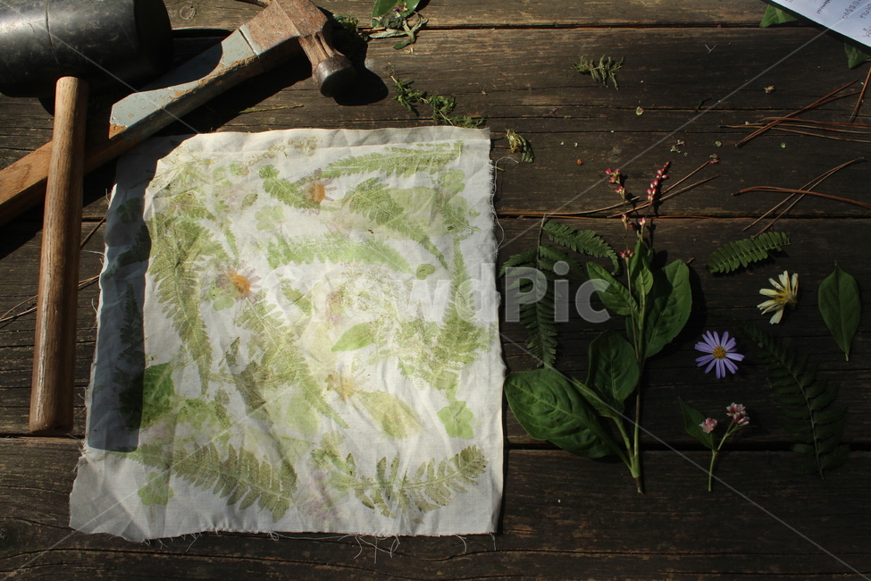 ecoprinting,염색,망치,공예,자연물