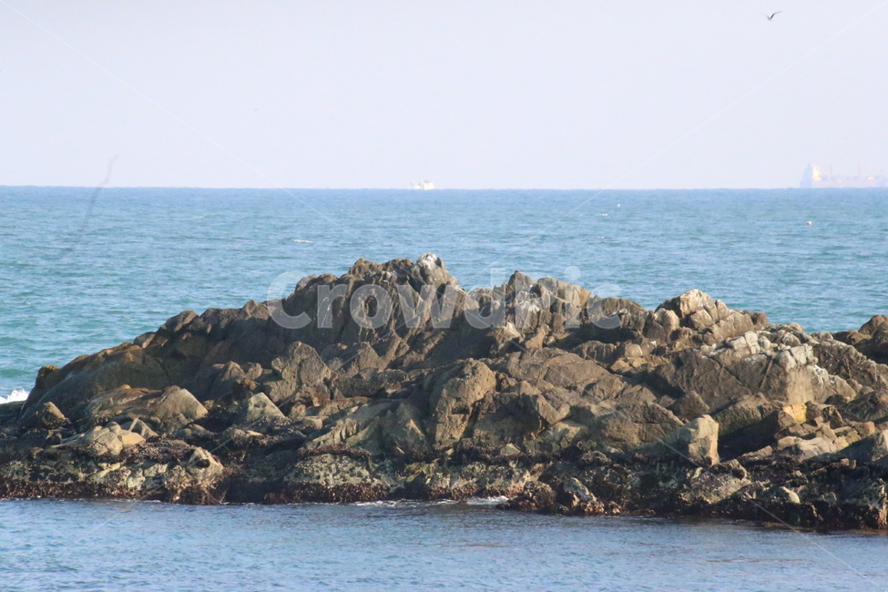 부산,기장,바닷가,겨울바다,바위