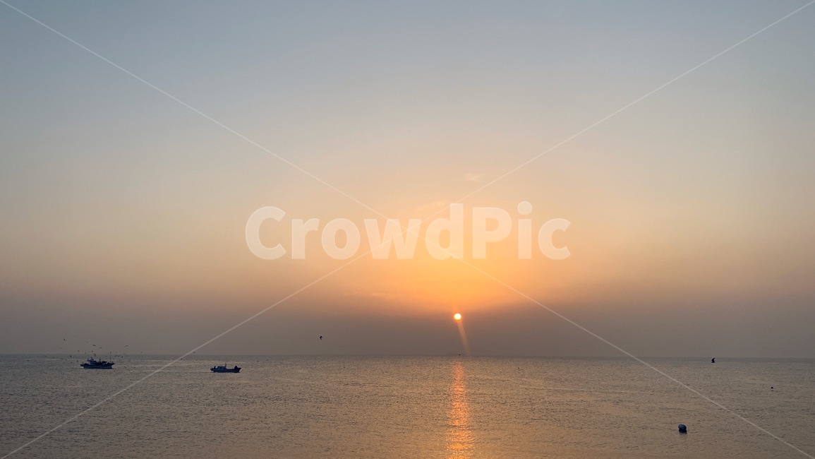일출,해돋이,sunrise,태양,sun,새벽,dawn,수평선,horizontalline,sealine,바다,잔잔한바다,바닷가,sea,하늘,sky,갈매기,seagull,mew,gull,seamew,배,고기잡이배,ship,boat,자연,풍경,nature,landscape,outdoors,옥외,sunlight,햇빛,dusk,황혼,sunset,일몰,red sky,붉은 하늘