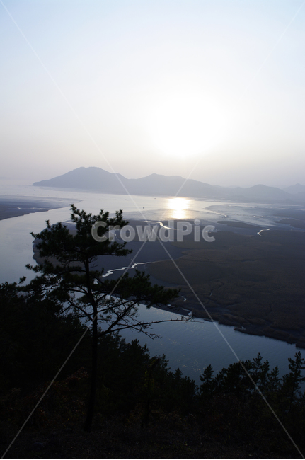 순천만,일몰,석양,노을,풍경,강,산,자연,풍경,nature,landscape,outdoors,옥외,경치,scenery,flare,플레어,light,빛