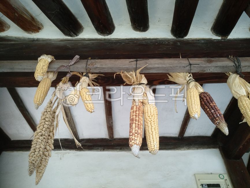corner,eaves,corn harvest,grain